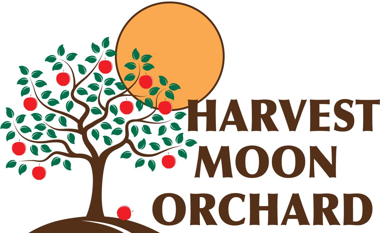 Why Harvest Moon Orchard Is the Ideal Spot for Autumn Fun