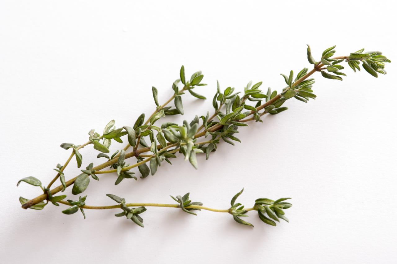 Thyme Piece: The Flavorful Herb You Didn’t Know You Needed