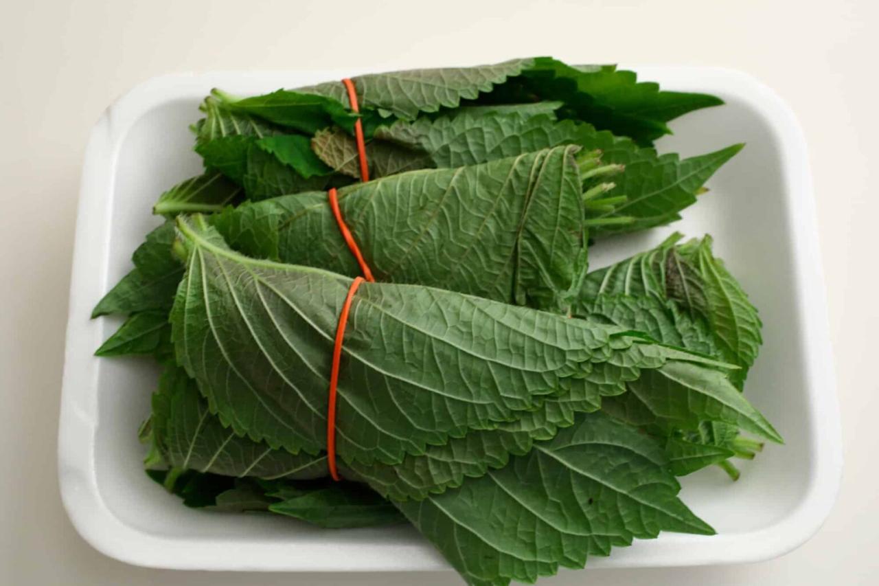 Perilla Leaf Cooking Secrets: Enhance Your Recipes with This Herb