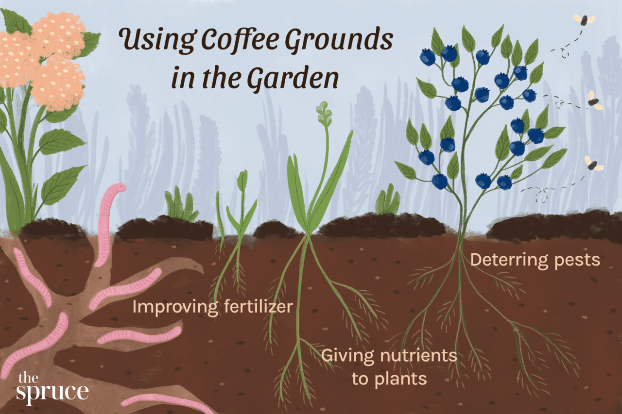 How to Make Liquid Fertilizer with Coffee Grounds